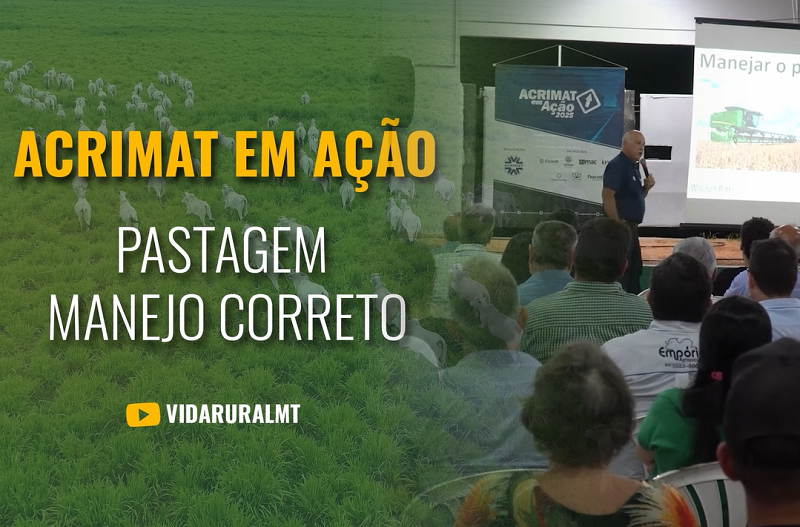MANEJO CORRETO DE PASTAGEM PARA UMA PECUÁRIA DE SUCESSO
